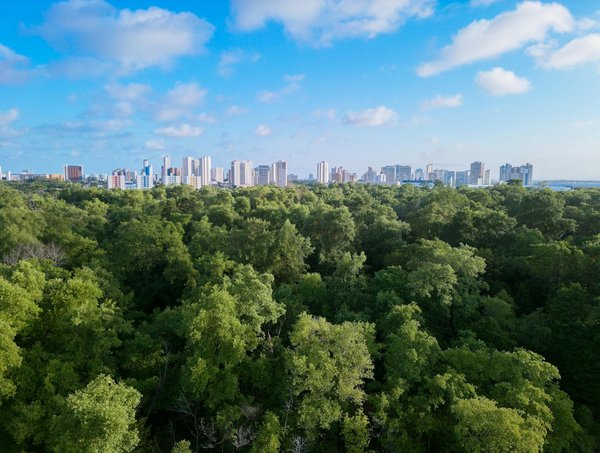 Découvrez les bienfaits surprenants de la position du poirier
